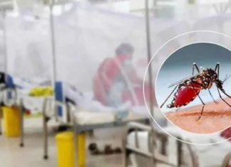 ডেঙ্গুতে আরও ১ জনের মৃত্যু, হাসপাতালে ভর্তি ১৩০০
