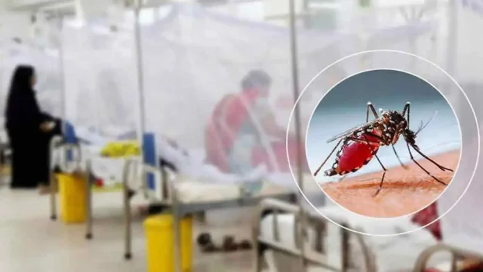 dengue-20261009194646