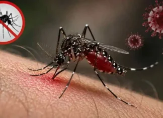 ডেঙ্গুতে এক দিনে ভর্তি ২১৯৩, মৃত্যু ৪